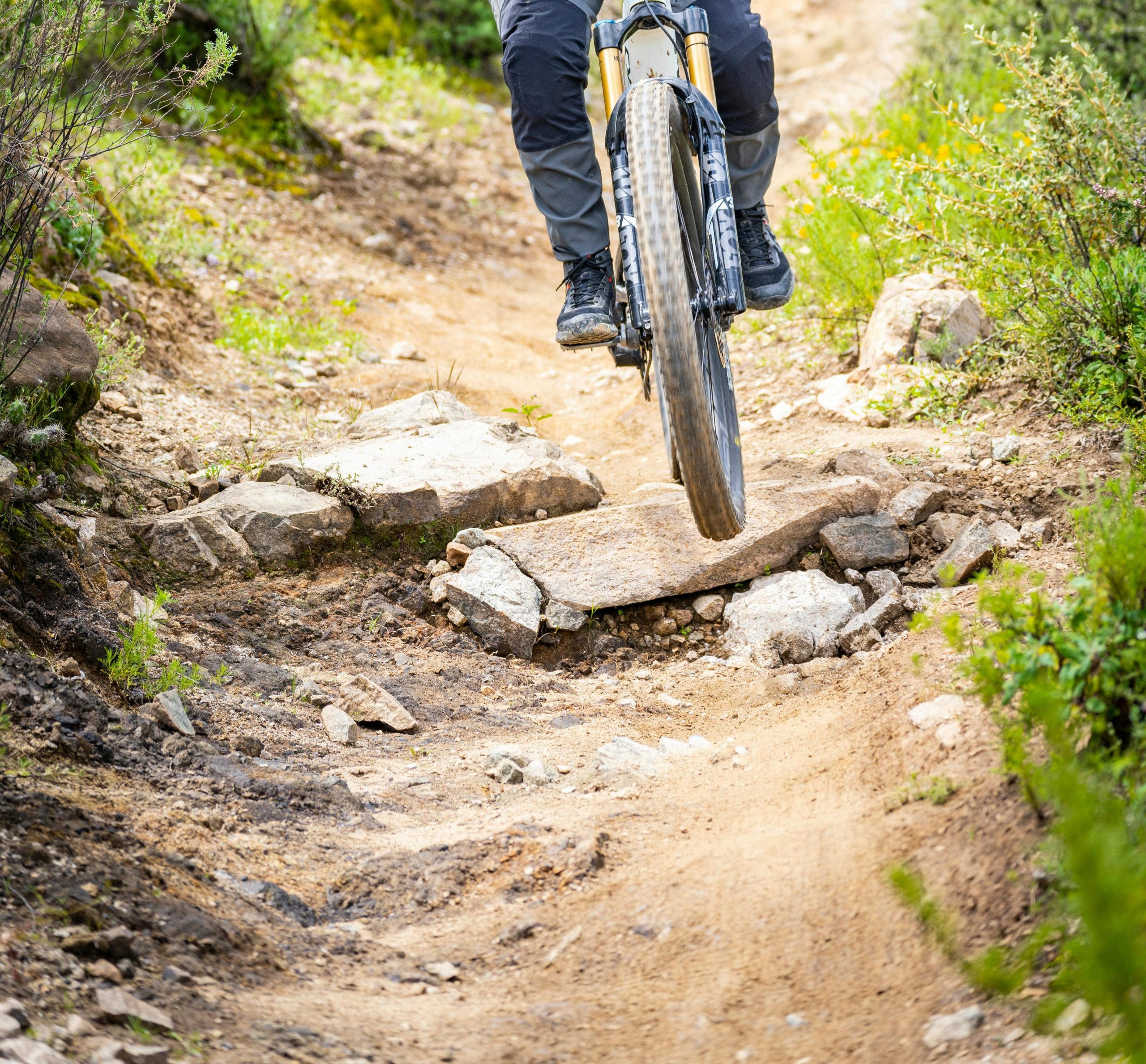 downhill crop